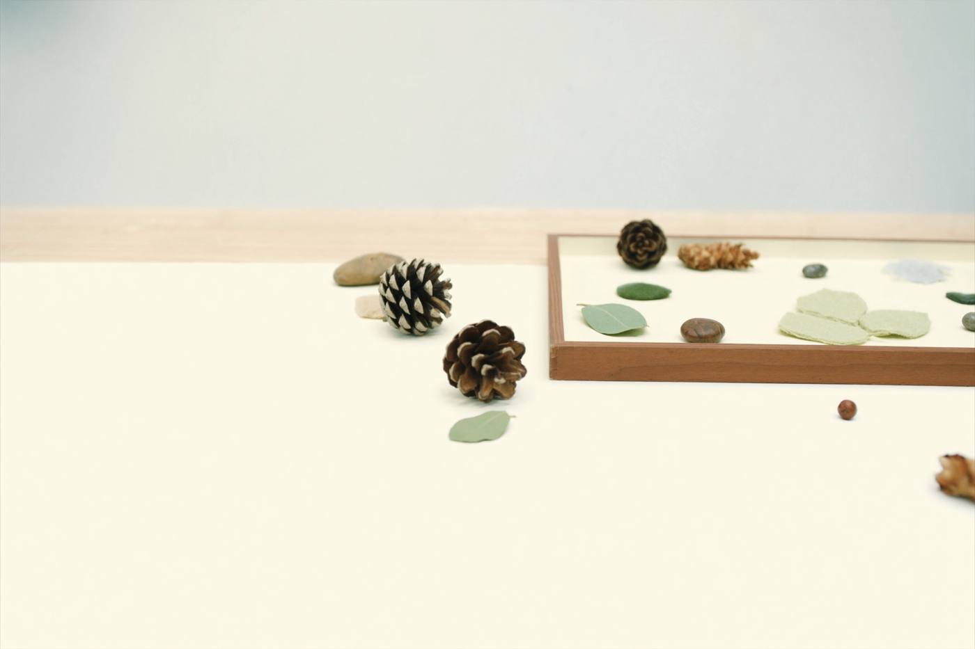 A nature-play discovery tray of pinecones, leaves and pebbles