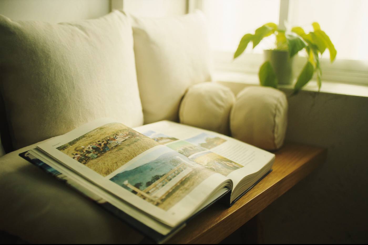 An open picture book by a sunlit window